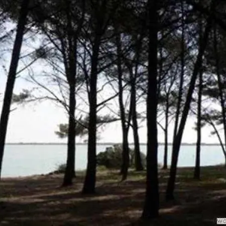 3 Etoiles - Piscine - Eehfhg Camping Vic-la-Gardiole